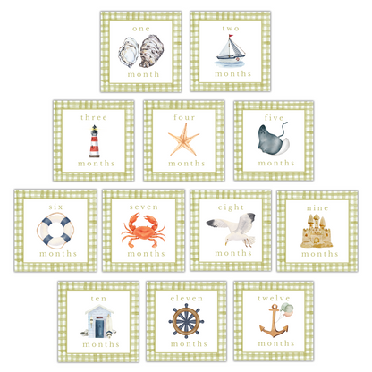 Coastal Milestone Cards