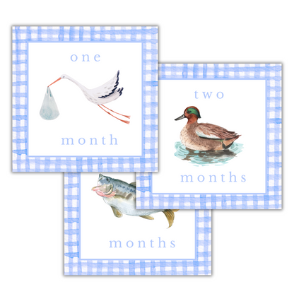 Boy Animal Milestone Cards - Gingham