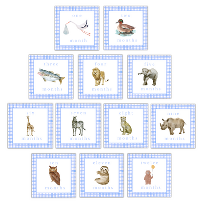 Boy Animal Milestone Cards - Gingham