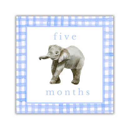 Boy Animal Milestone Cards - Gingham