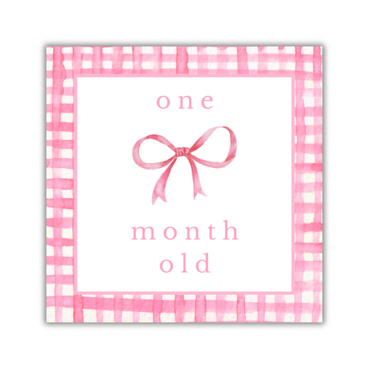 Pink Gingham Milestone Cards