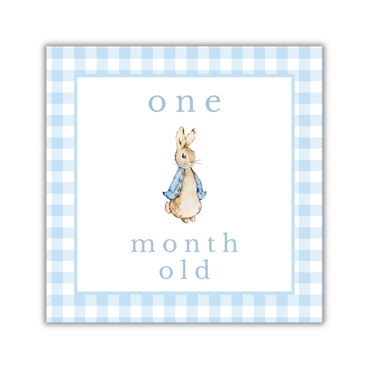 Blue Gingham Animal Milestone Cards