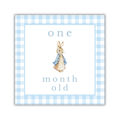 Blue Gingham Animal Milestone Cards