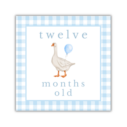 Blue Gingham Animal Milestone Cards