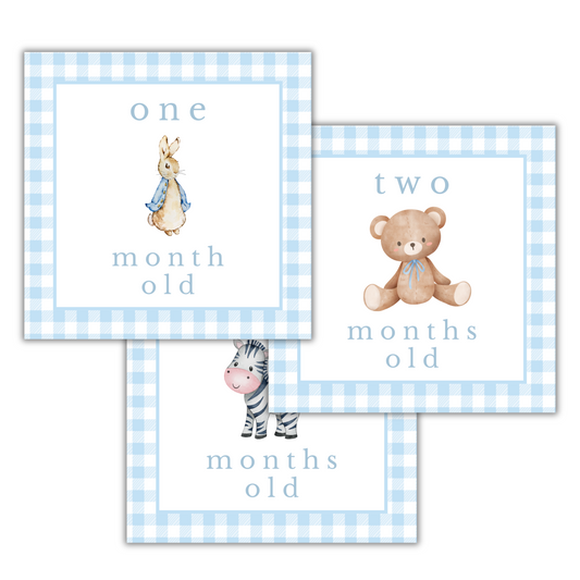 Blue Gingham Animal Milestone Cards